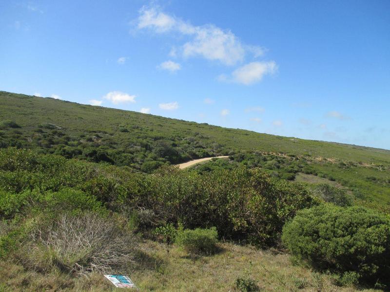 0 Bedroom Property for Sale in Paradise Coast Western Cape